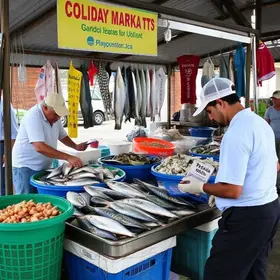 Mercado do Peixe de Ubatuba
